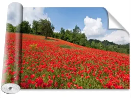 fototapeta-samoprzylepna-pole-makow-416x254