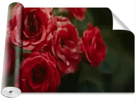 fototapeta-samoprzylepna-roze-vintage-416x254