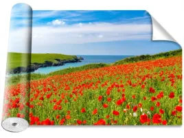 fototapeta-samoprzylepna-pole-makow-416x254