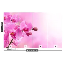 fototapeta-samoprzylepna-rozowa-orchidea-416x254