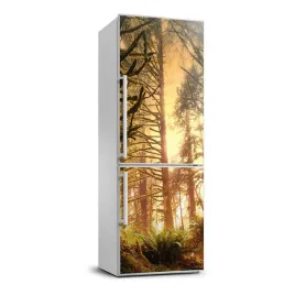 naklejka-fototapeta-na-lodowke-las-deszczowy