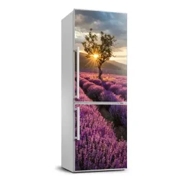 naklejka-fototapeta-na-lodowke-pole-lawendy
