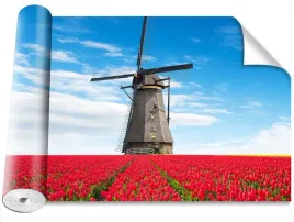 fototapeta-samoprzylepna-tulipany-wiatrak-416x254