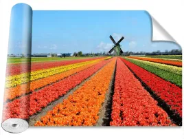 fototapeta-samoprzylepna-wiatrak-tulipany-416x254