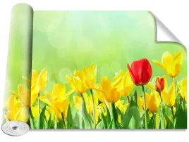 fototapeta-samoprzylepna-tulipany-zolte-416x254
