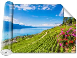 fototapeta-samoprzylepna-winnice-tarasy-416x254