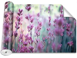 fototapeta-magicstick-lawendowy-zielony-416x254