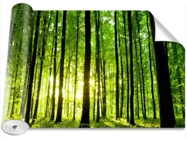 fototapeta-samoprzylepna-zielony-las-416x254