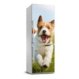 foto-naklejka-na-lodowke-pies-jack-russell