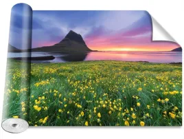 fototapeta-samoprzylepna-zolte-kwiaty-416x254