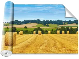 fototapeta-usuwalna-bele-siana-416x254