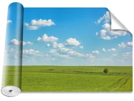fototapeta-samoprzylepna-laka-niebo-416x254