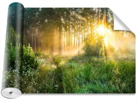 fototapeta-usuwalna-peel-and-stick-las-416x254