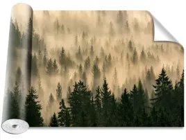 fototapeta-usuwalna-mglisty-las-416x254