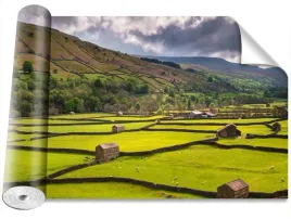 fototapeta-usuwalna-pole-yorkshire-416x254