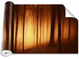 fototapeta-usuwalna-straszny-las-416x254