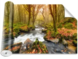 fototapeta-usuwalna-rzeka-las-416x254