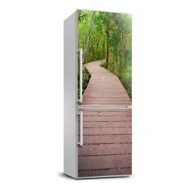 fototapeta-samoprzylepna-lodowke-sciezka-w-dzungli