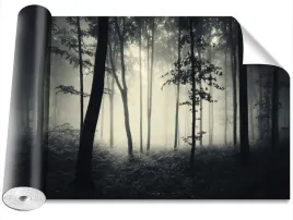 fototapeta-usuwalna-mglisty-las-416x254