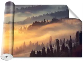 fototapeta-usuwalna-las-gorzysty-416x254