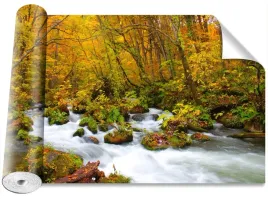 fototapeta-usuwalna-rzeka-w-japonii-416x254