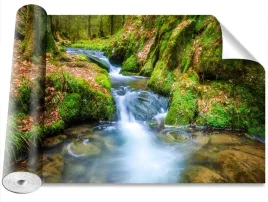 fototapeta-usuwalna-las-strumien-416x254