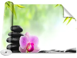 tapeta-magicstick-orchidea-i-kamienie-416x254
