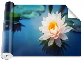 tapeta-okleina-magicstick-kwiat-lotosu-416x254