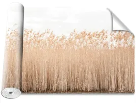 tapeta-okleina-magicstick-trzcina-staw-416x254