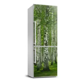naklejka-fototapeta-na-lodowke-las-brzozowy-70x190