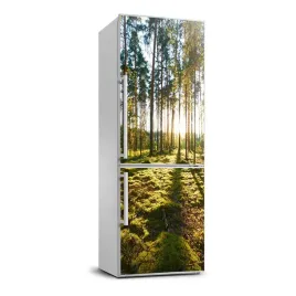 naklejka-fototapeta-na-lodowke-las-sosnowy-70x190