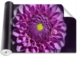 tapeta-okleina-magicstick-dalia-rozowy-416x254