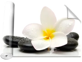 tapeta-okleina-plumeria-kamienie-416x254
