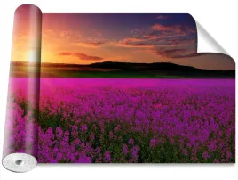 tapeta-okleina-magicstick-laka-rozowy-416x254