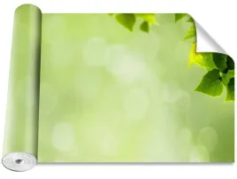 tapeta-okleina-magicstick-zielone-liscie-416x254