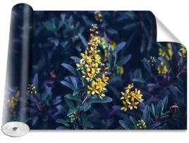 tapeta-okleina-zolte-kwiaty-416x254
