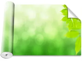 tapeta-peel-and-stick-galaz-zielony-416x254