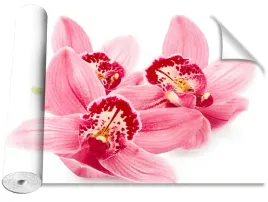 tapeta-okleina-rozowa-orchidea-416x254