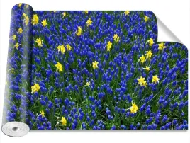 tapeta-okleina-magicstick-lubin-kwiaty-416x254