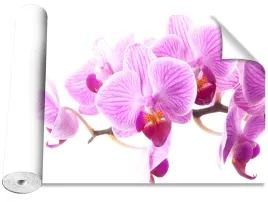 tapeta-okleina-rozowa-orchidea-416x254