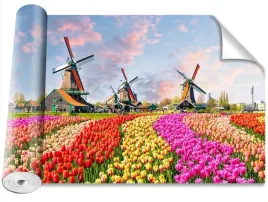 fototapeta-magicstick-tulipany-wiatraki-416x254