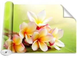 tapeta-peel-and-stick-frangipani-kwiaty-416x254