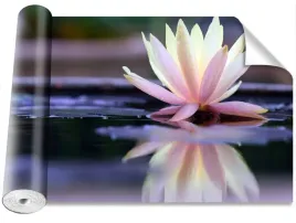tapeta-peel-and-stick-magicstick-lotos-416x254