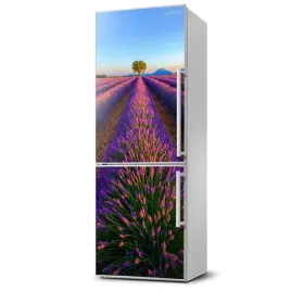 magnes-na-lodowke-magnetyczna-pole-lawendy-60x180