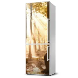 magnes-na-lodowke-magnetyczna-las-jesienia-60x180