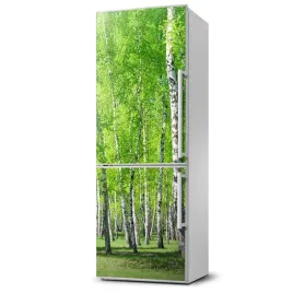 magnes-na-lodowke-magnetyczna-las-brzozowy-60x180
