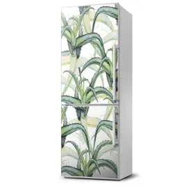 foto-magnes-fototapety-na-lodowke-aloes-60x180