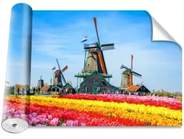 fototapeta-magicstick-tulipany-wiatraki-416x254