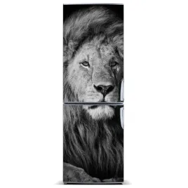 mata-magnetyczna-na-lodowke-portret-lwa-60x180