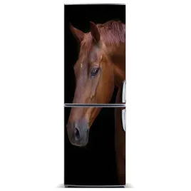 naklejka-magnes-na-lodowke-portret-konia-60x180